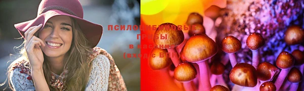 соль ск Абаза