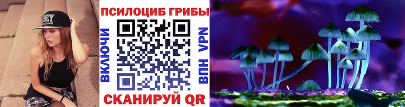 купить  цена  Тбилисская  Псилоцибиновые грибы мухоморы 