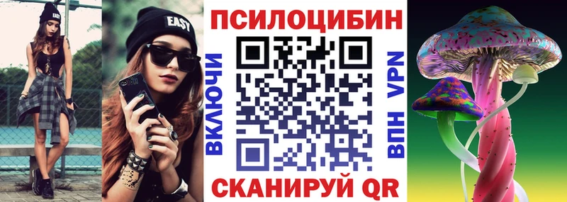 Галлюциногенные грибы Psilocybine cubensis Тбилисская