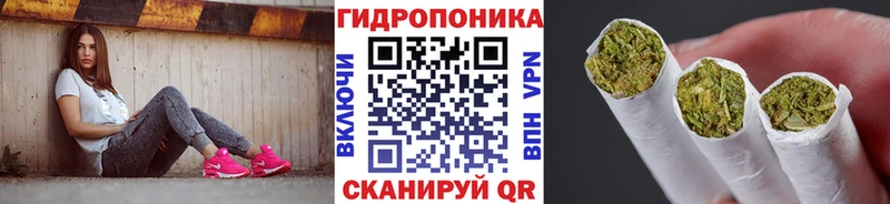 где найти   Тбилисская  Конопля SATIVA & INDICA 